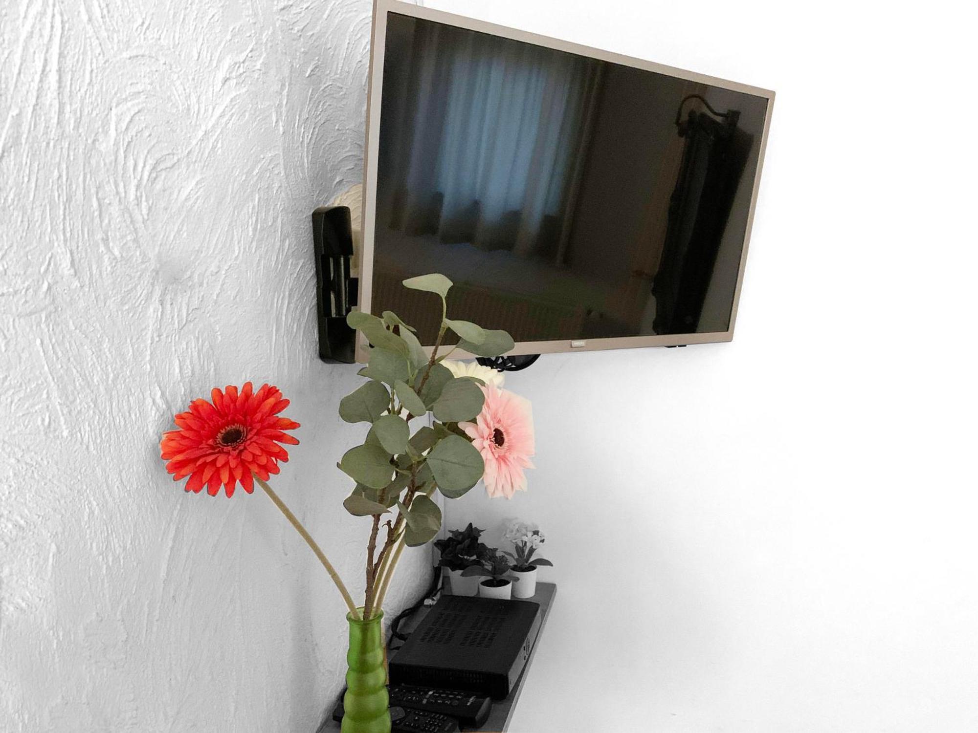 B&B En Vakantiewoningen 'T Wienhoes Wittem Εξωτερικό φωτογραφία